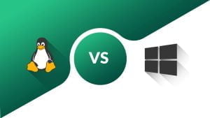 Điểm khác nhau giữa Hosting Linux và Hosting Windows